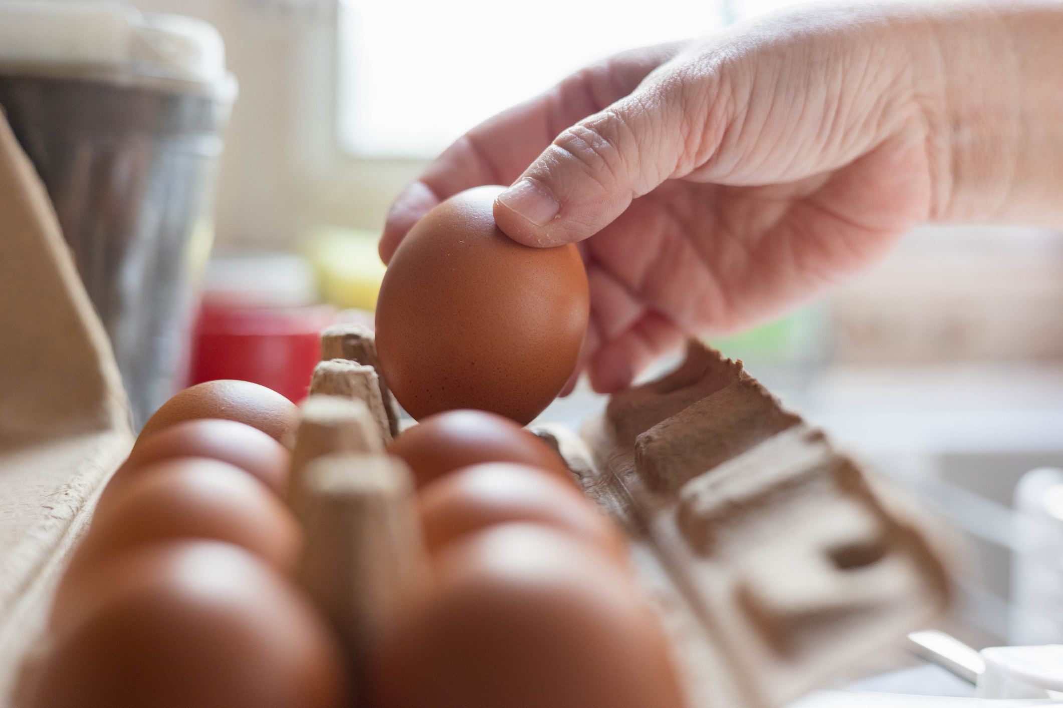 Hand removing an egg from an egg carton